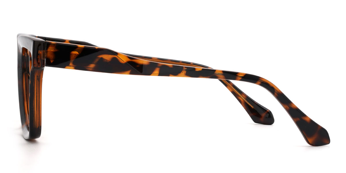 Écaille Amreen Lunettes - Rectangle Glasses