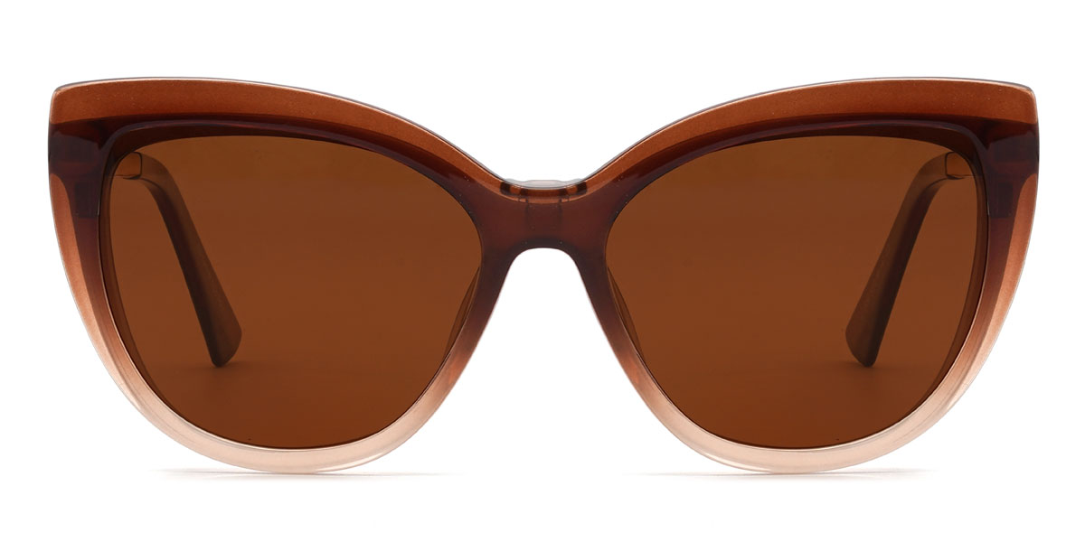 Dégradé Brun Rosabelle Lunettes - Oval Clip-On Sunglasses