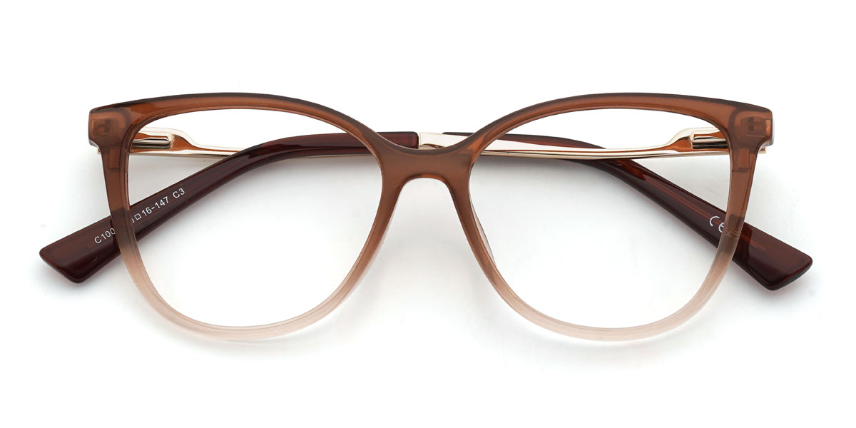 Dégradé Brun Rosabelle Lunettes - Oval Clip-On Sunglasses