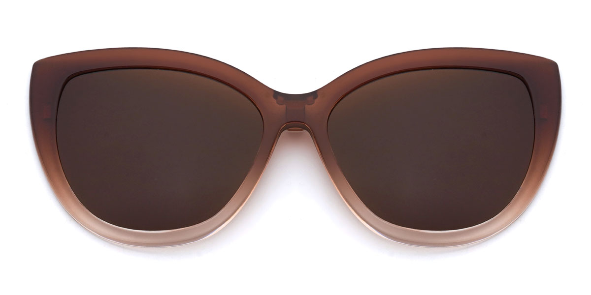 Dégradé Brun Rosabelle Lunettes - Oval Clip-On Sunglasses