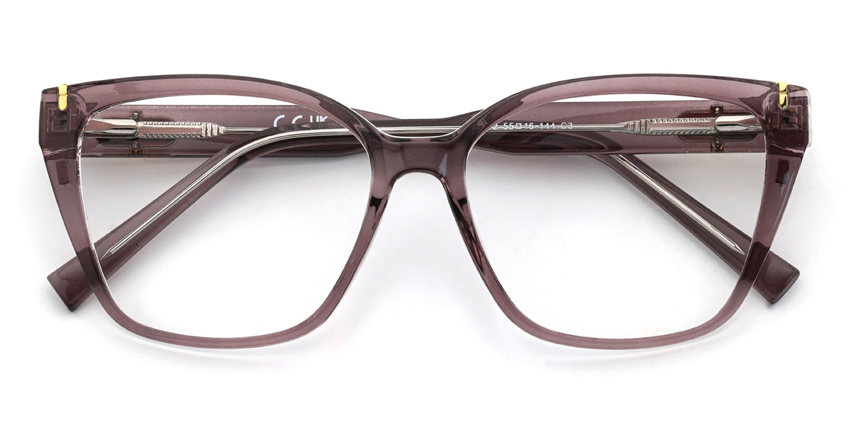 Pourpre Dasia Lunettes - Rectangle Clip-On Sunglasses