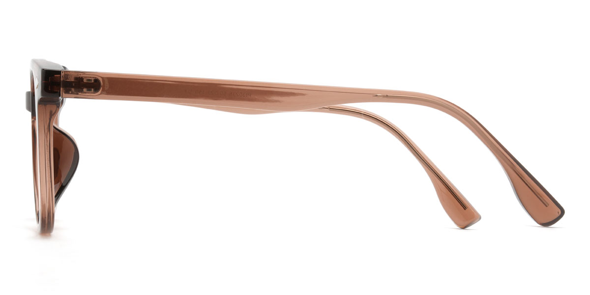 Marrón Antonis Gafas - Oval Glasses