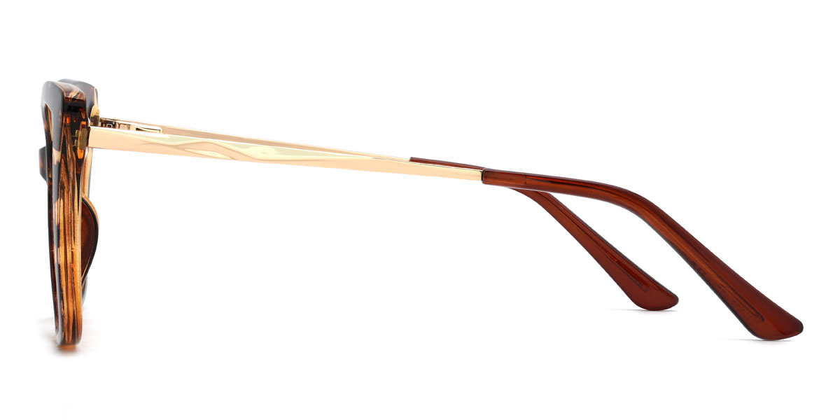 Tortoiseshell Gisella Glasses - Cat Eye Glasses