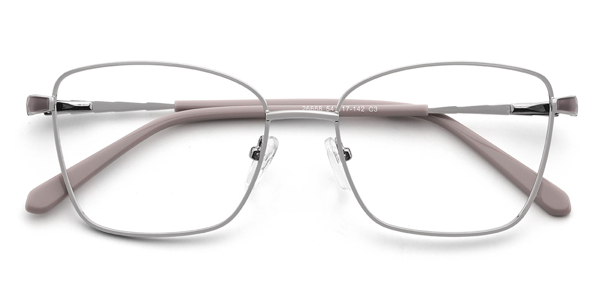 Silver Bukata Glasses - Rectangle Glasses