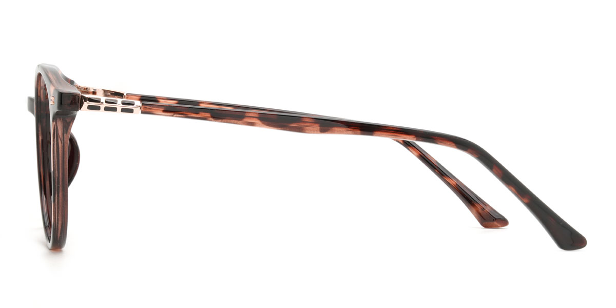 Écaille Naman Lunettes - Oval Glasses