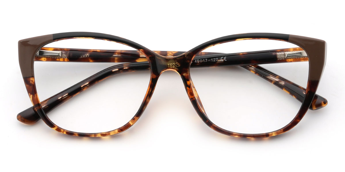 Tortoiseshell Christoff Glasses - Rectangle Glasses