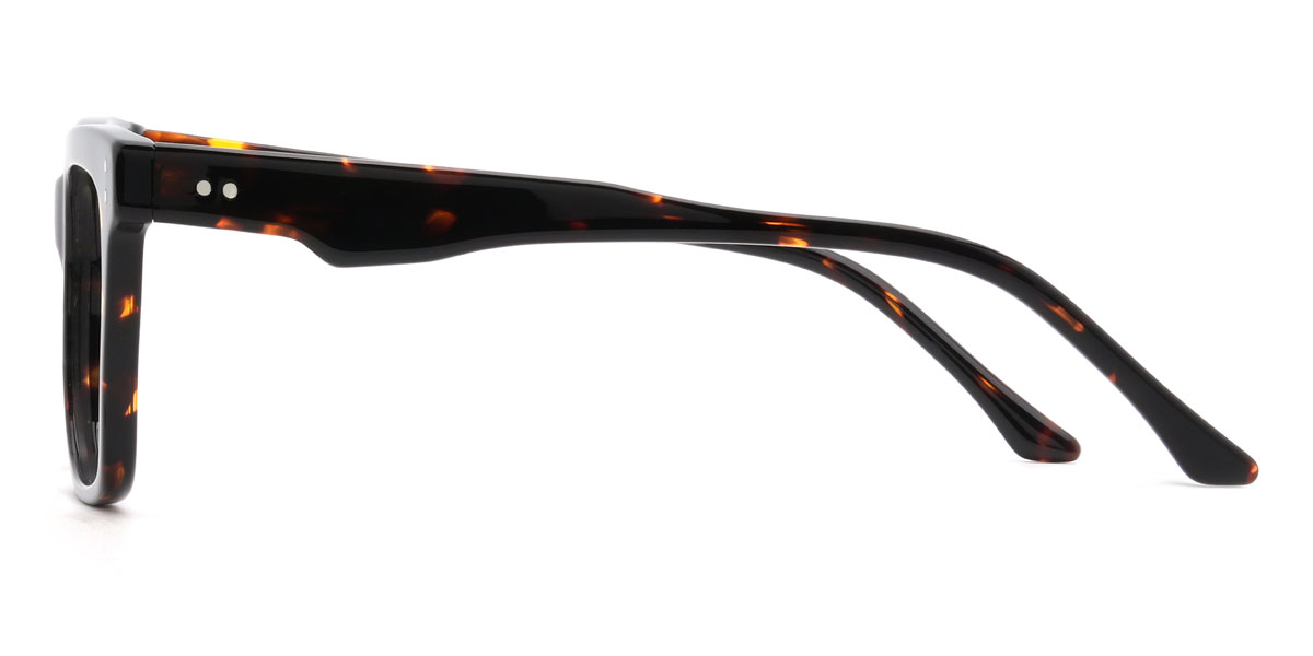 Tortoiseshell Gomez Glasses - Rectangle Glasses