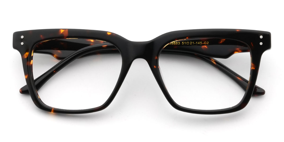 Tortoiseshell Gomez Glasses - Rectangle Glasses