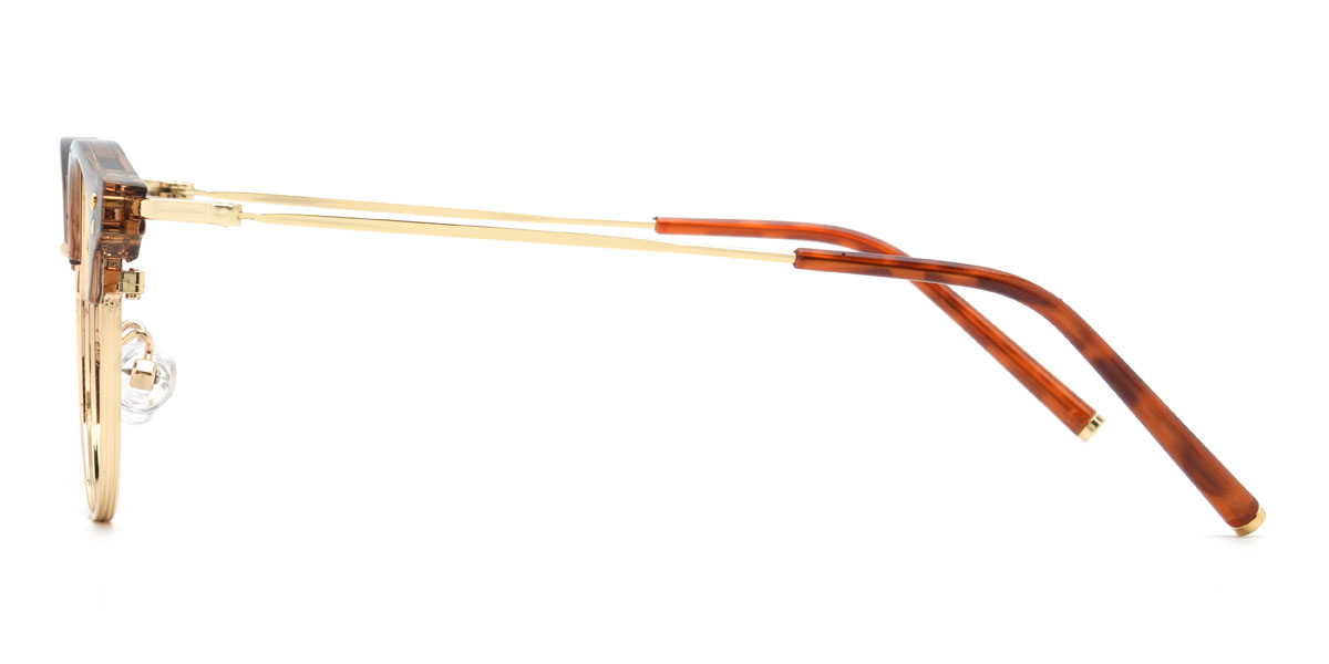 Gold Brown Roark Glasses - Oval Glasses