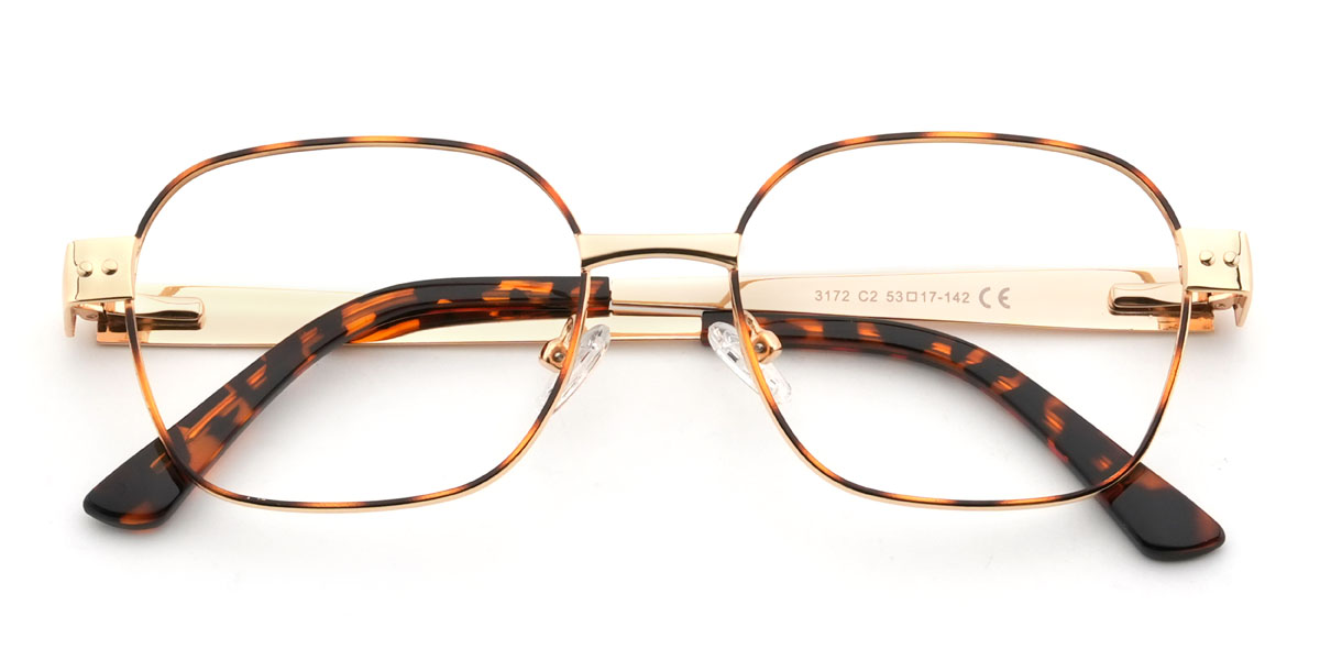 Gold Tortoiseshell Anastacio Glasses - Rectangle Glasses