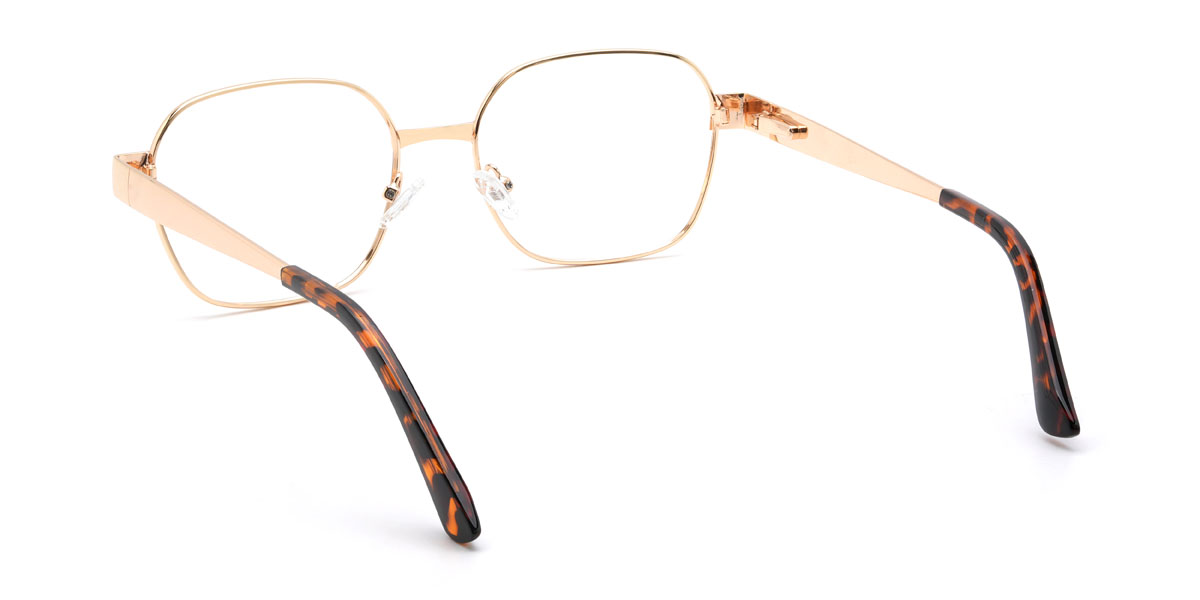 Gold Tortoiseshell Anastacio Glasses - Rectangle Glasses