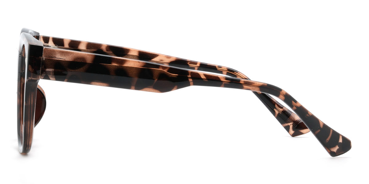 Tortoiseshell Ademola Glasses - Square Glasses