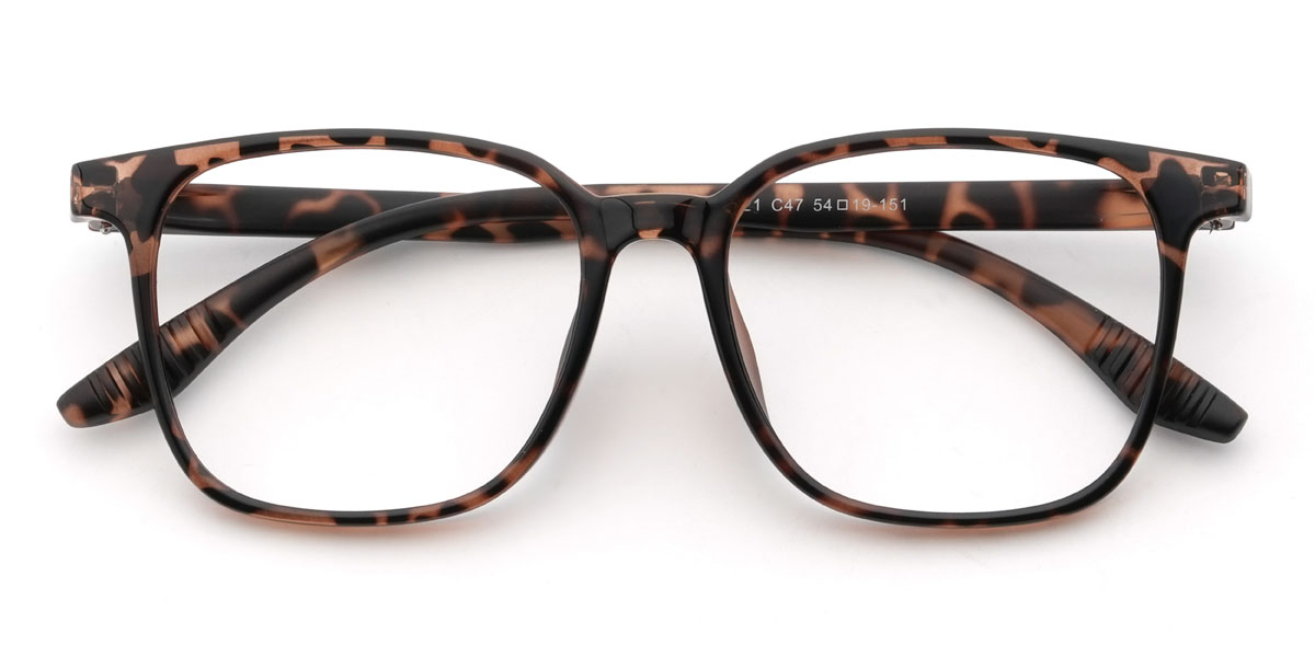 Tortoiseshell Fayyad Glasses - Square Glasses