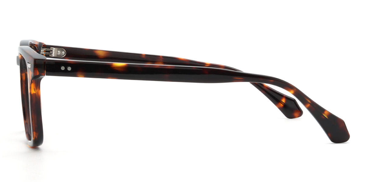 Tortoiseshell Emrick Glasses - Rectangle Glasses