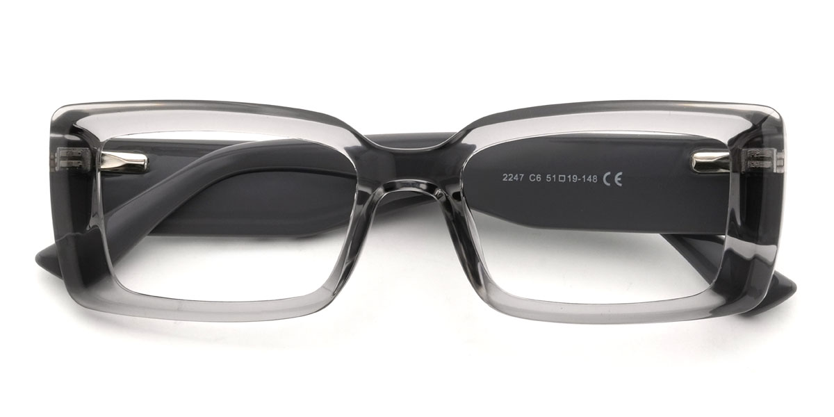 Clear Grey Pascual Glasses - Rectangle Glasses