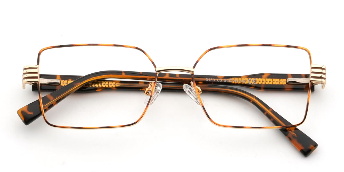Tortoiseshell Gaura Glasses - Rectangle Glasses
