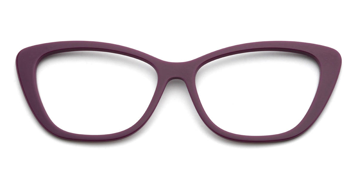 Colour Nikoleta Glasses - Cat Eye Clip-On Sunglasses