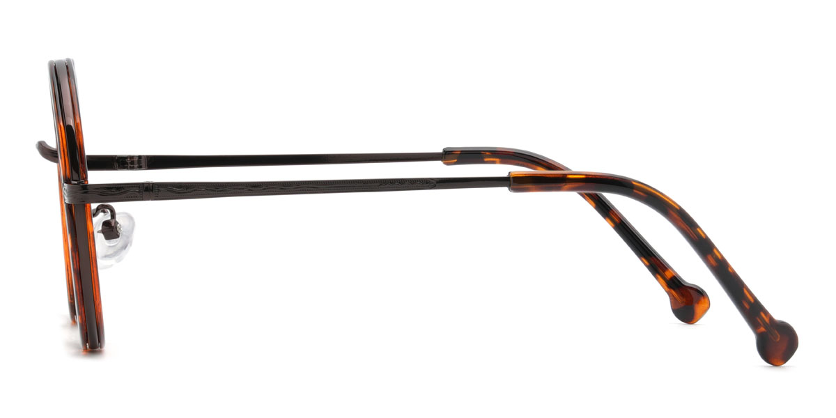 Tortoiseshell Barack Glasses - Round Glasses