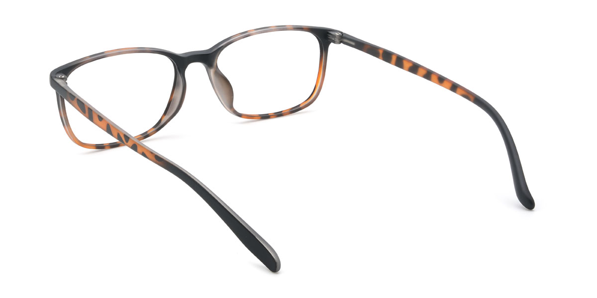 Tortoiseshell Eneko Glasses - Rectangle Glasses