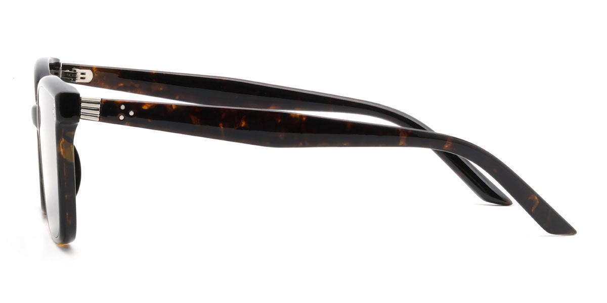 Tortoiseshell Grey Govind Glasses - Rectangle Sunglasses