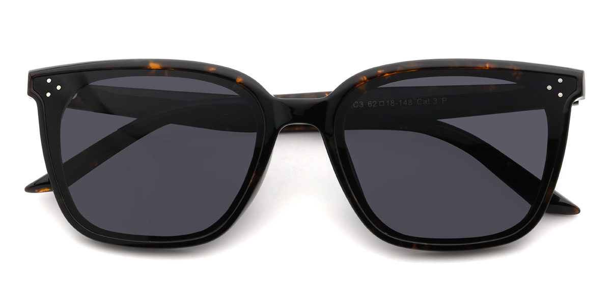 Écaille de tortue Gris Caelus Lunettes - Rectangle Sunglasses