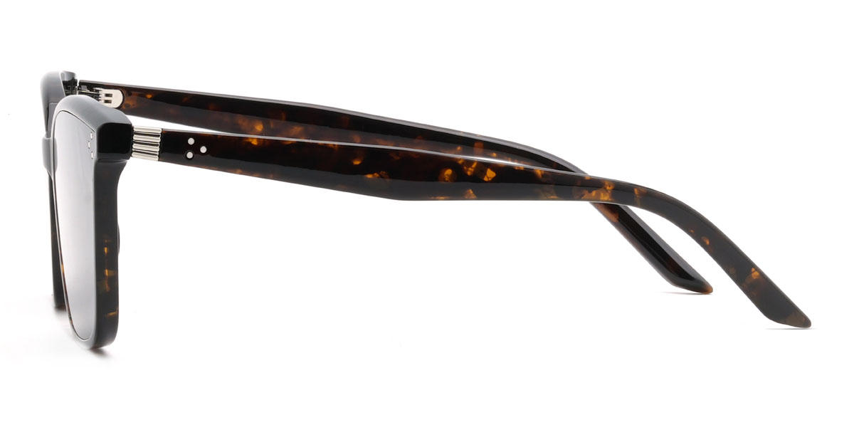 Écaille de tortue Gris Caelus Lunettes - Rectangle Sunglasses