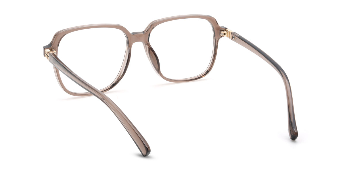 Brown Petey Glasses - Square Glasses