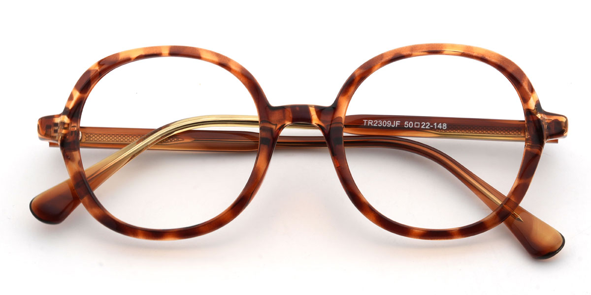 Tortoiseshell Norberto Glasses - Oval Glasses