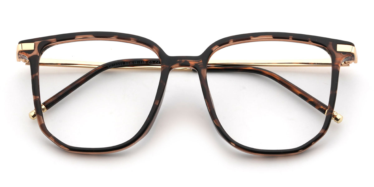 Tortoiseshell Martel Glasses - Square Glasses