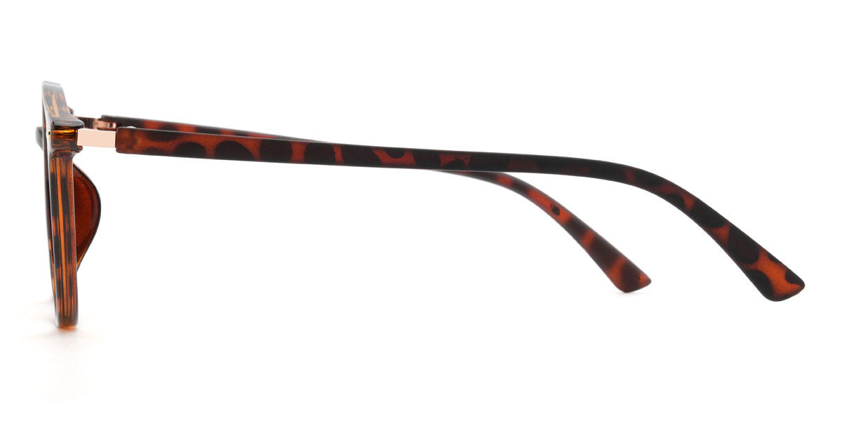 Tortoiseshell Deacon Glasses - Oval Glasses
