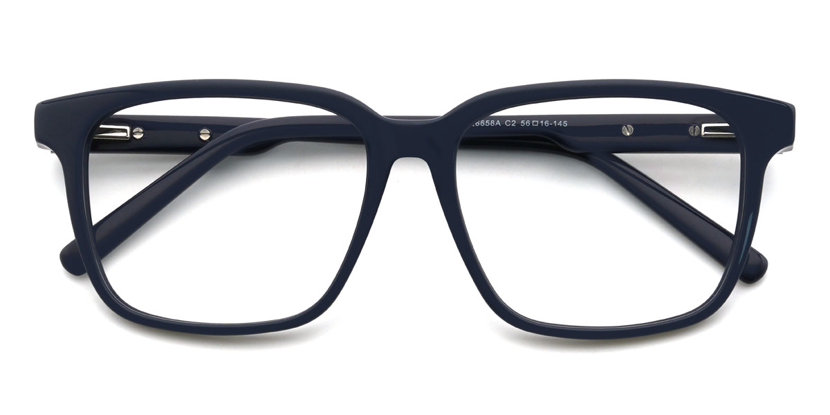 Navy Raimi Glasses - Rectangle Glasses