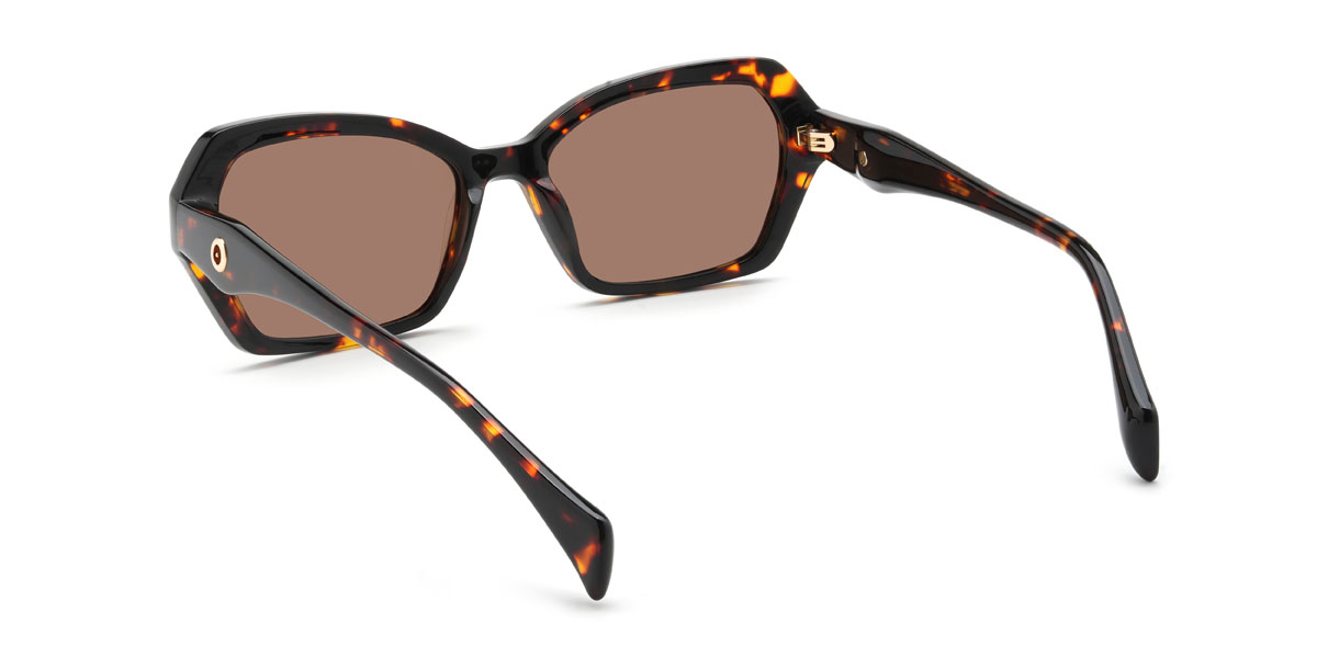 Tortoiseshell Brown Charlee Glasses - Rectangle Sunglasses