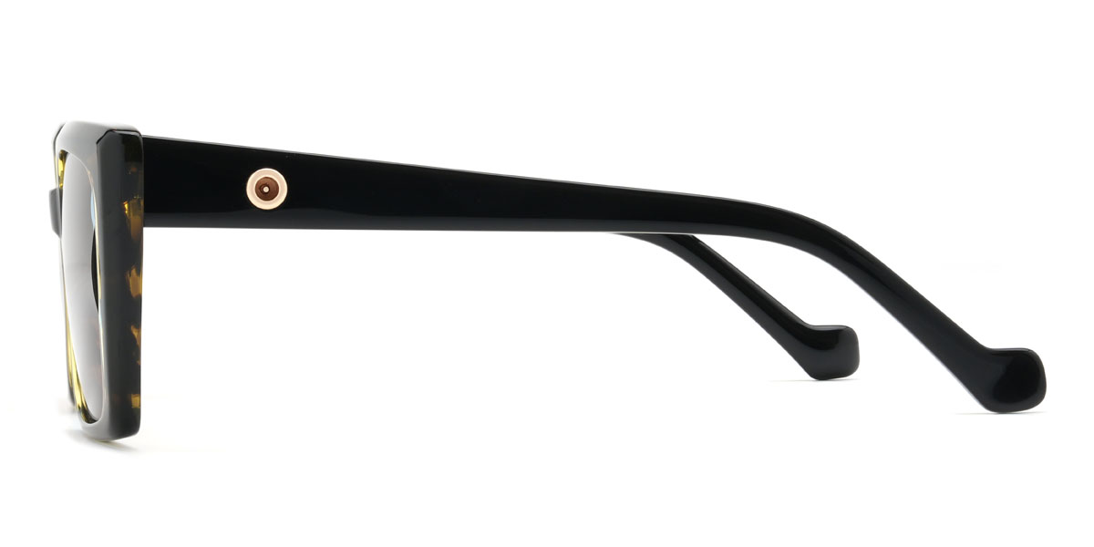 Tortoiseshell Brown Xanthus Glasses - Square Sunglasses