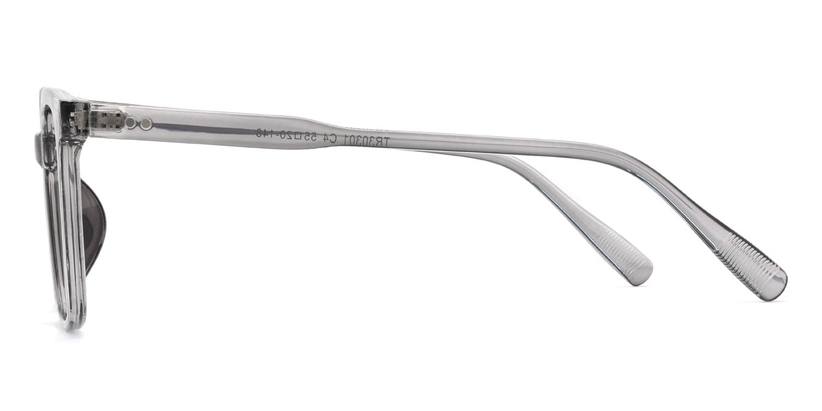 Clear Grey Willy Glasses - Rectangle Glasses