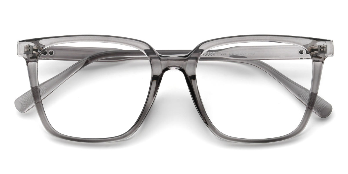 Clear Grey Willy Glasses - Rectangle Glasses