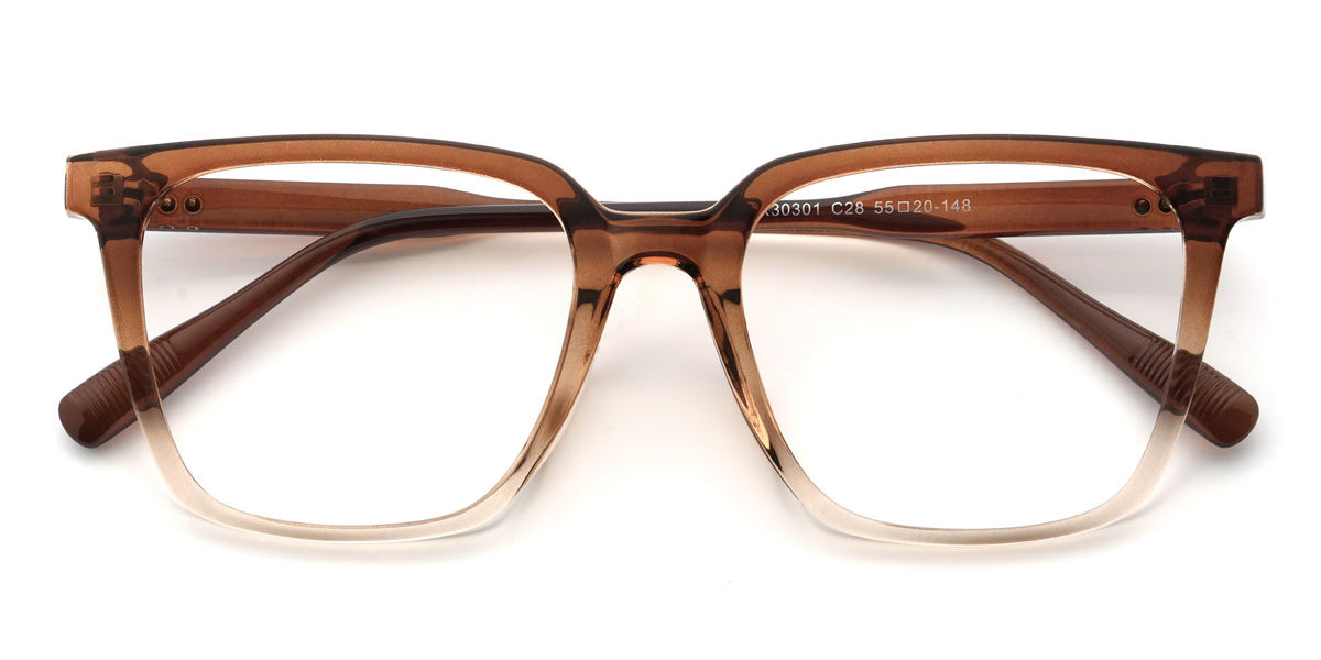 Gradient Brown Willy Glasses - Rectangle Glasses
