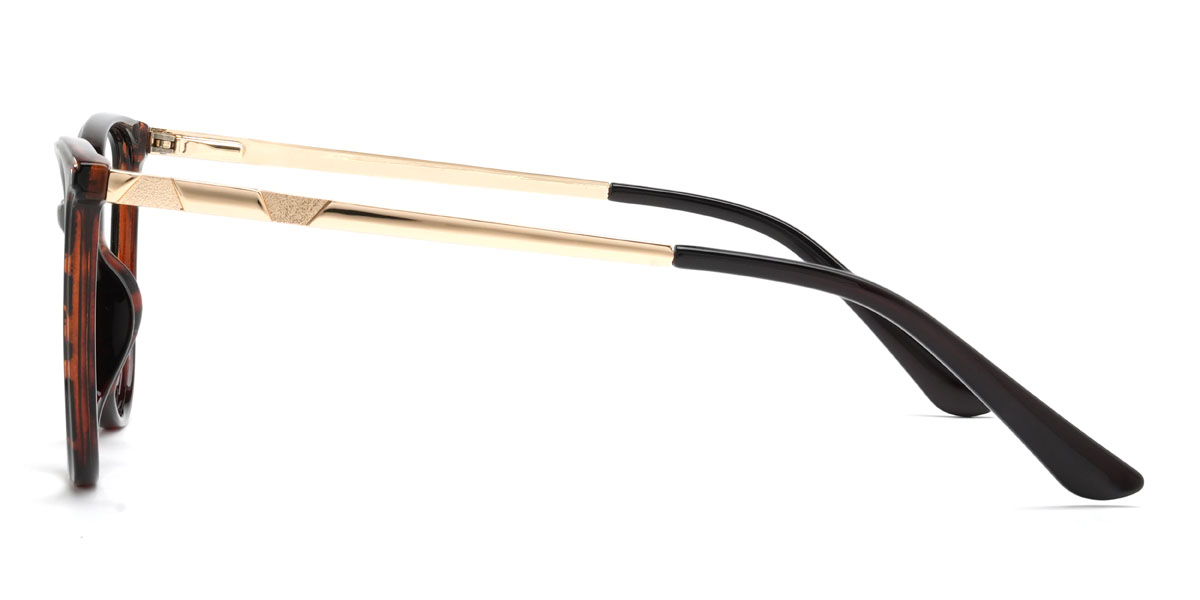 Tortoiseshell Winifred Glasses - Cat Eye Glasses