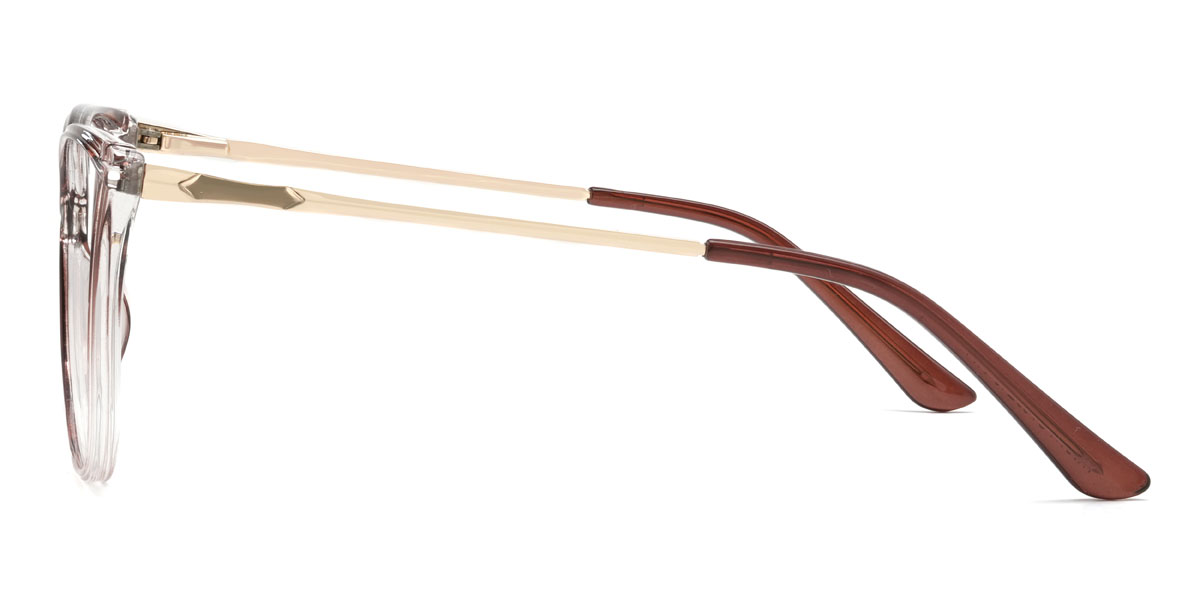 Gradient Brown Ralph Glasses - Square Glasses