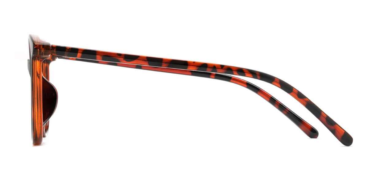 Tortoiseshell Quintin Glasses - Oval Glasses