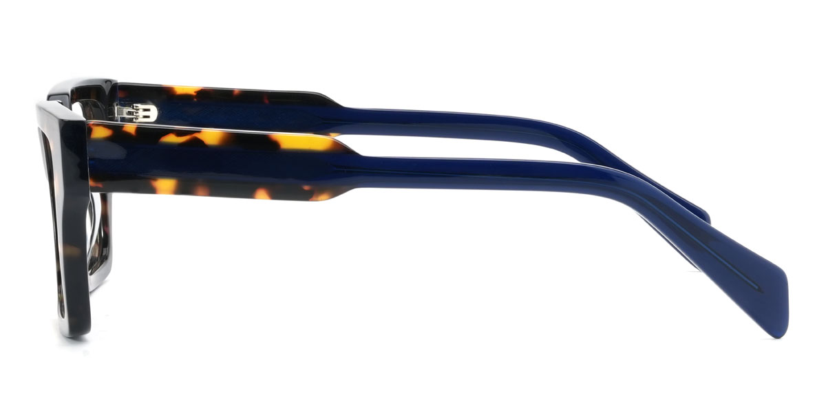 Tortoiseshell Luciana Glasses - Rectangle Glasses