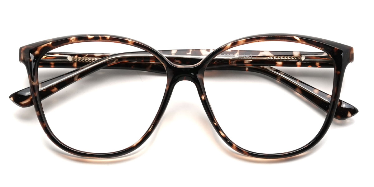 Tortoiseshell Danni Glasses - Square Glasses