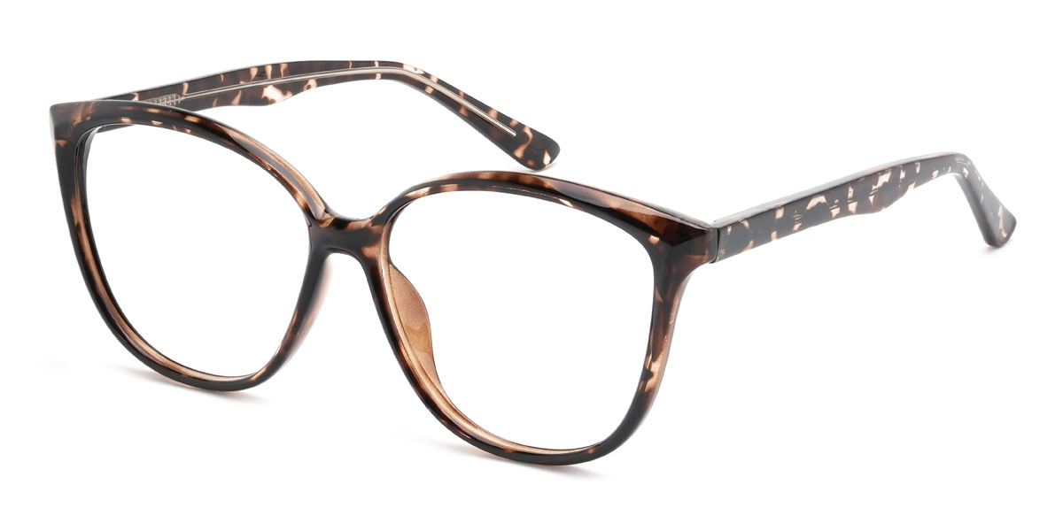 Tortoiseshell Danni Glasses - Square Glasses
