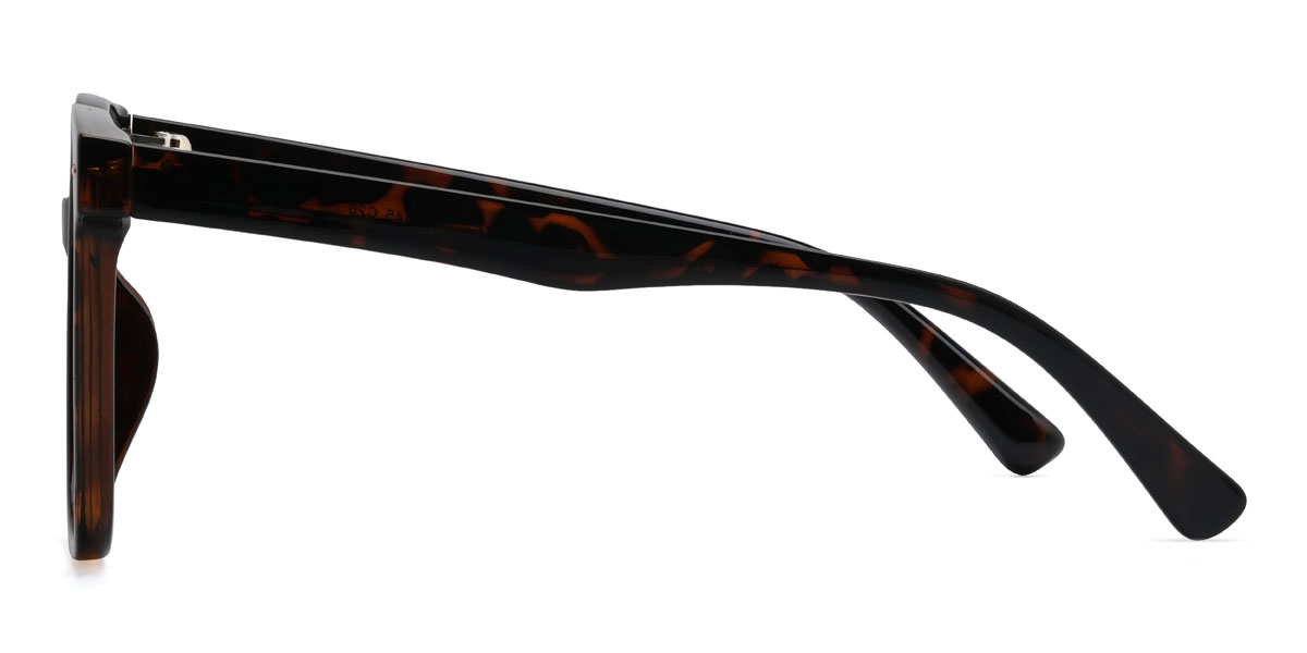 Tortoiseshell Alessia Glasses - Square Glasses