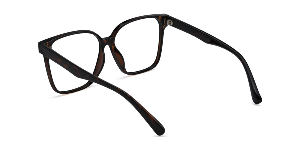 Tortoiseshell Alessia Glasses - Square Glasses