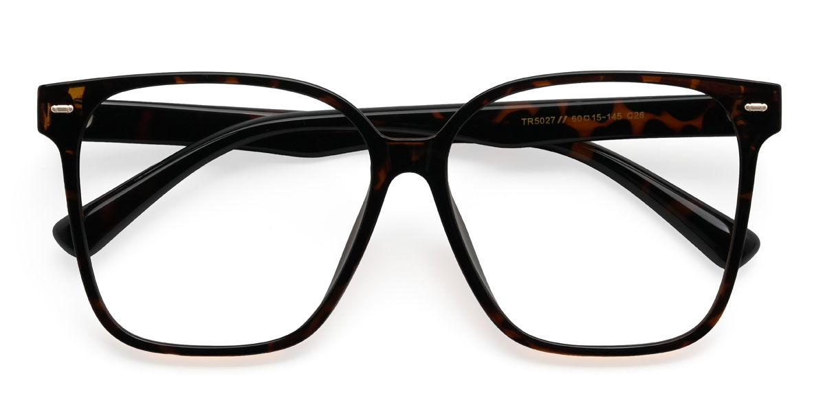 Tortoiseshell Alessia Glasses - Square Glasses