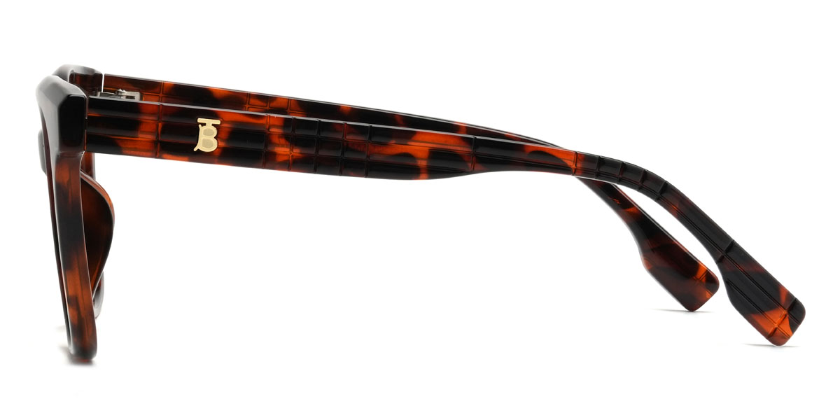 Tortoiseshell Forest Glasses - Square Glasses