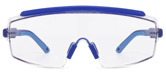 Nikola: Transparent Safety Glasses