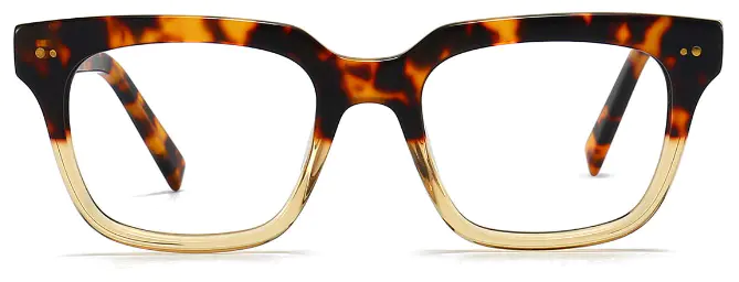 Mabry: Square Tortoiseshell/Brown Eyeglasses for Men and Women