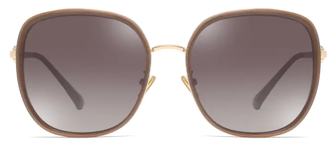 Oval Brown/Brown Sunglasses for Men Women