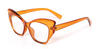 Orange Magnet - Cat Eye Glasses
